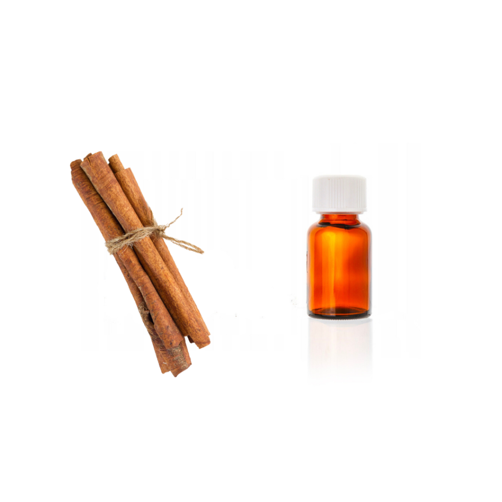 Olejek eteryczny<br> Cynamon Cejloński (z kory)
