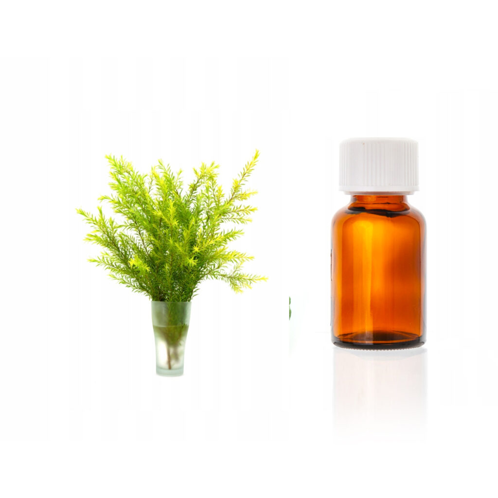 Olejek eteryczny<br> Drzewo herbaciane
