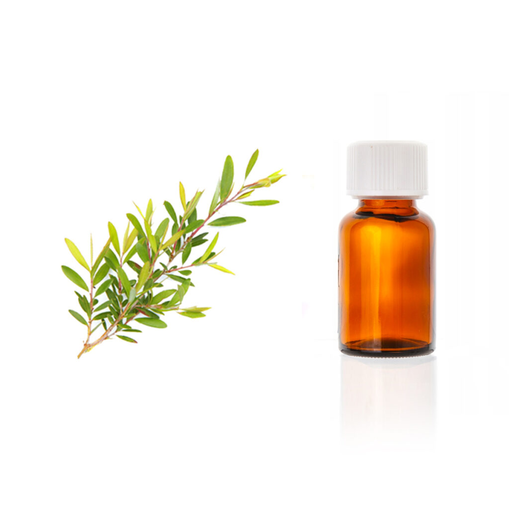 Olejek eteryczny<br> Kajeput