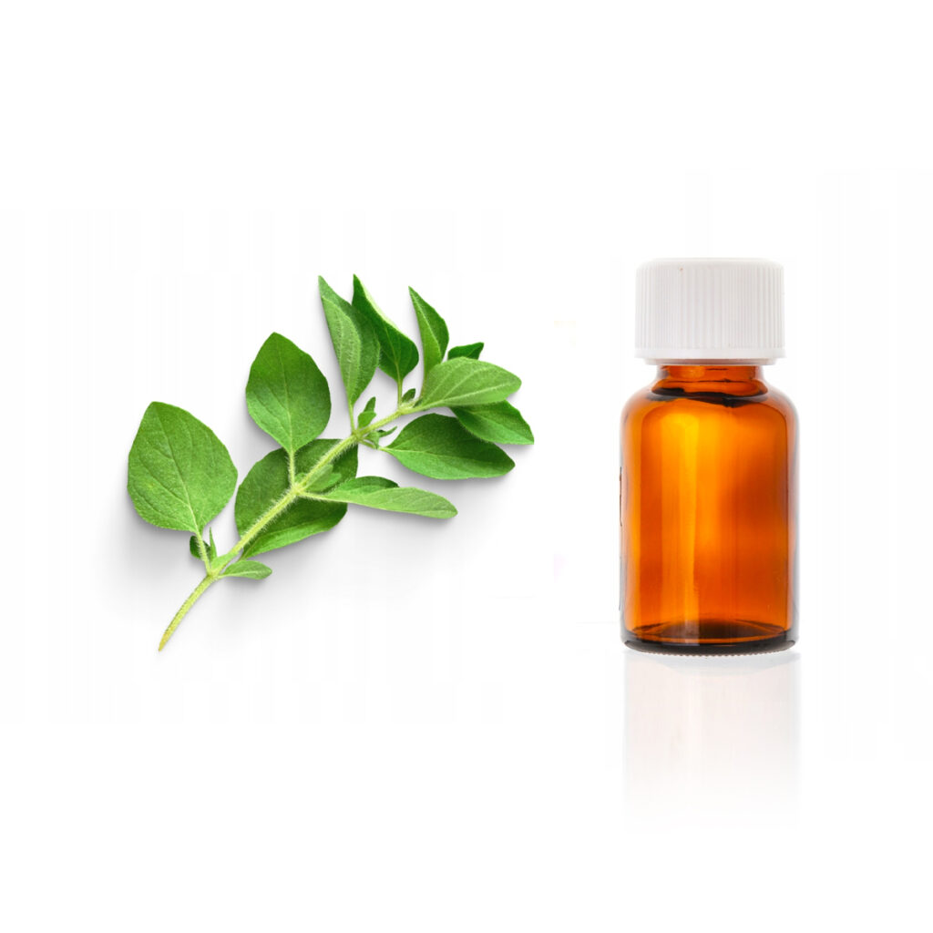 Olejek eteryczny<br> Oregano