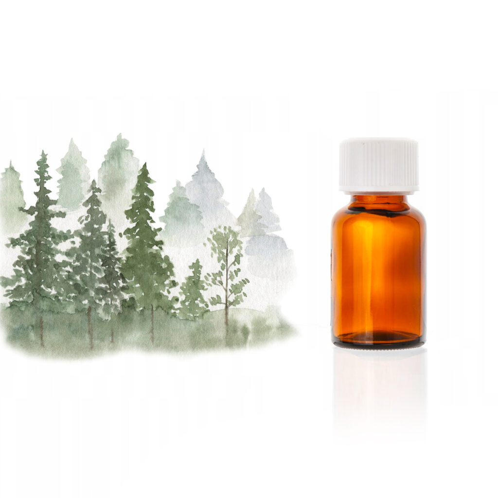Kompozycja olejków eterycznych <br> Chłodny Las