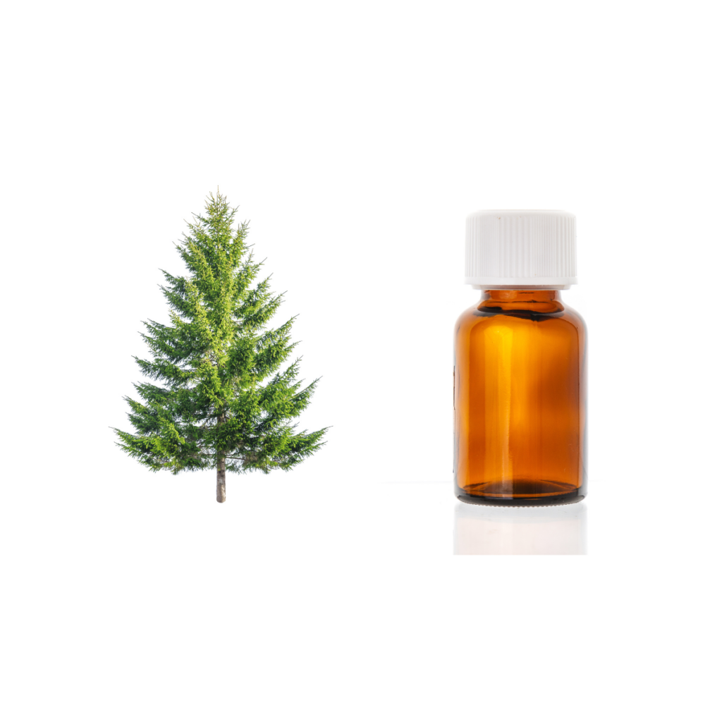 Olejek <br> eteryczny Jodła