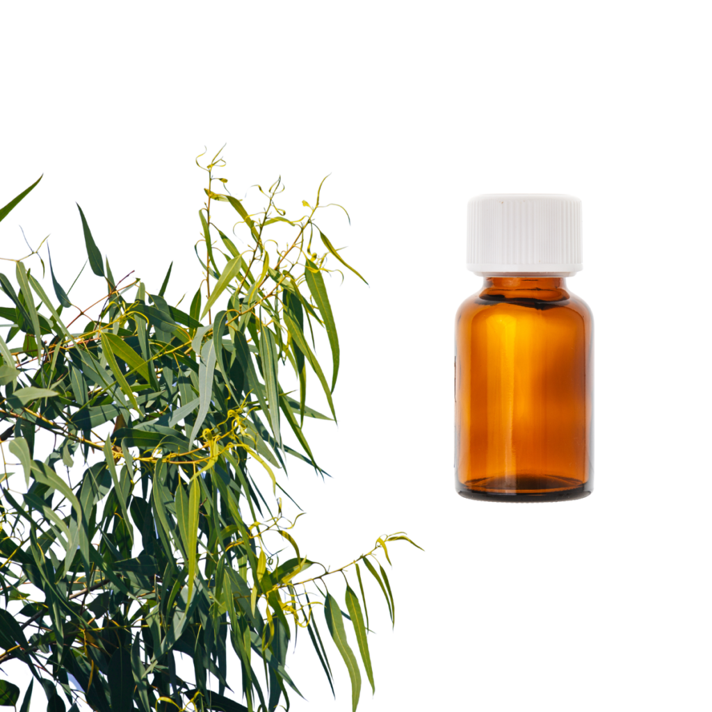 Olejek eteryczny <br> Eukaliptus cytrynowy organiczny