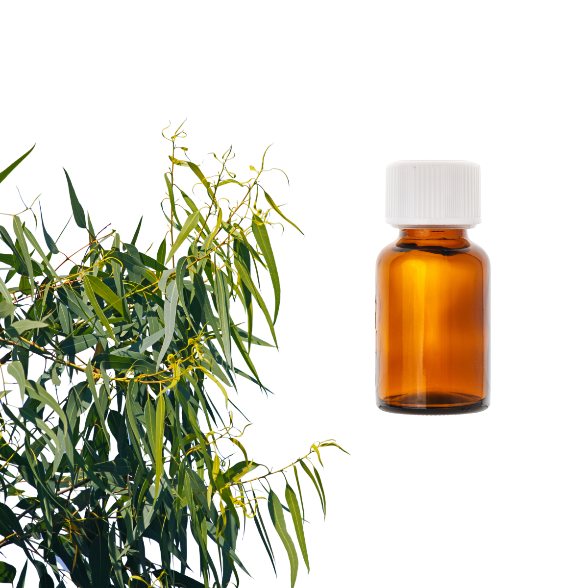 Olejek eteryczny <br> Eukaliptus cytrynowy organiczny