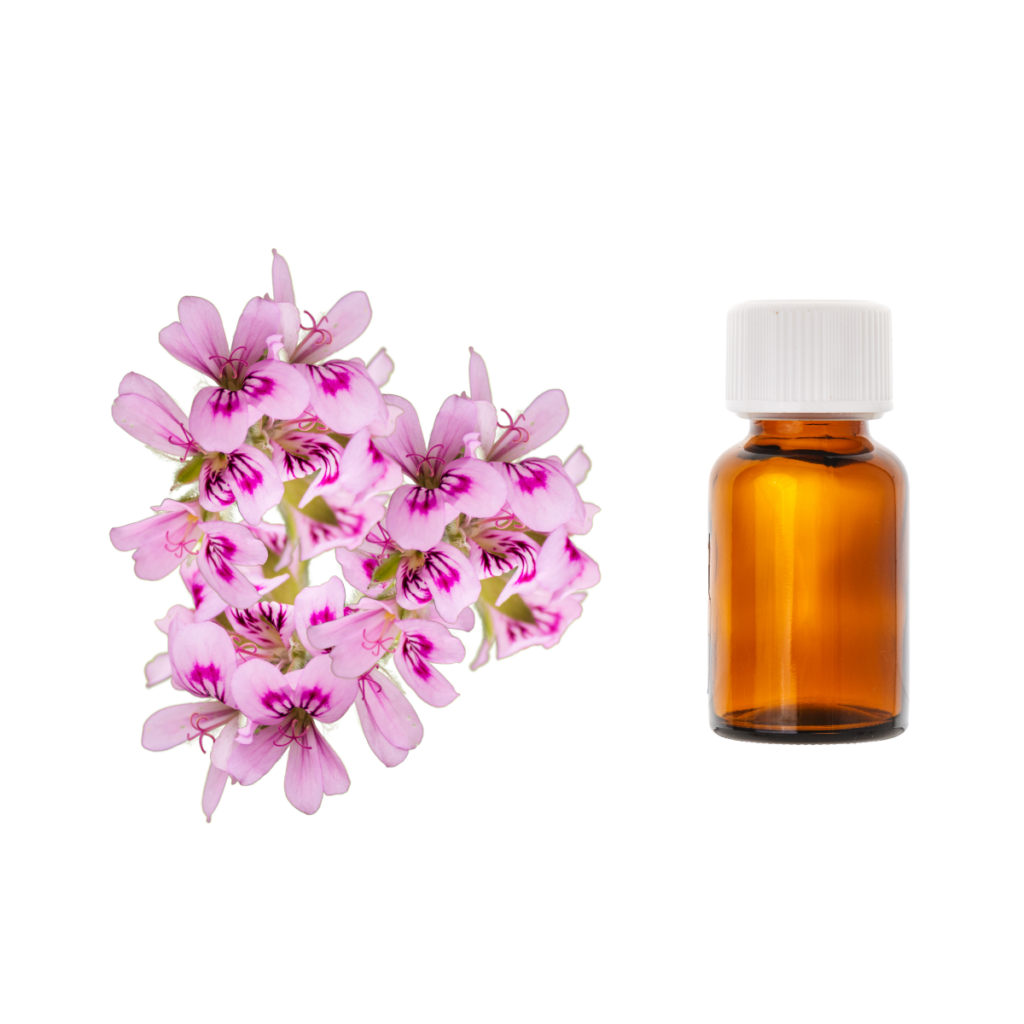 Olejek eteryczny<br> Geranium Różane, organiczny