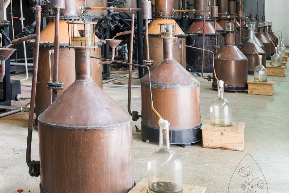 destylarnia