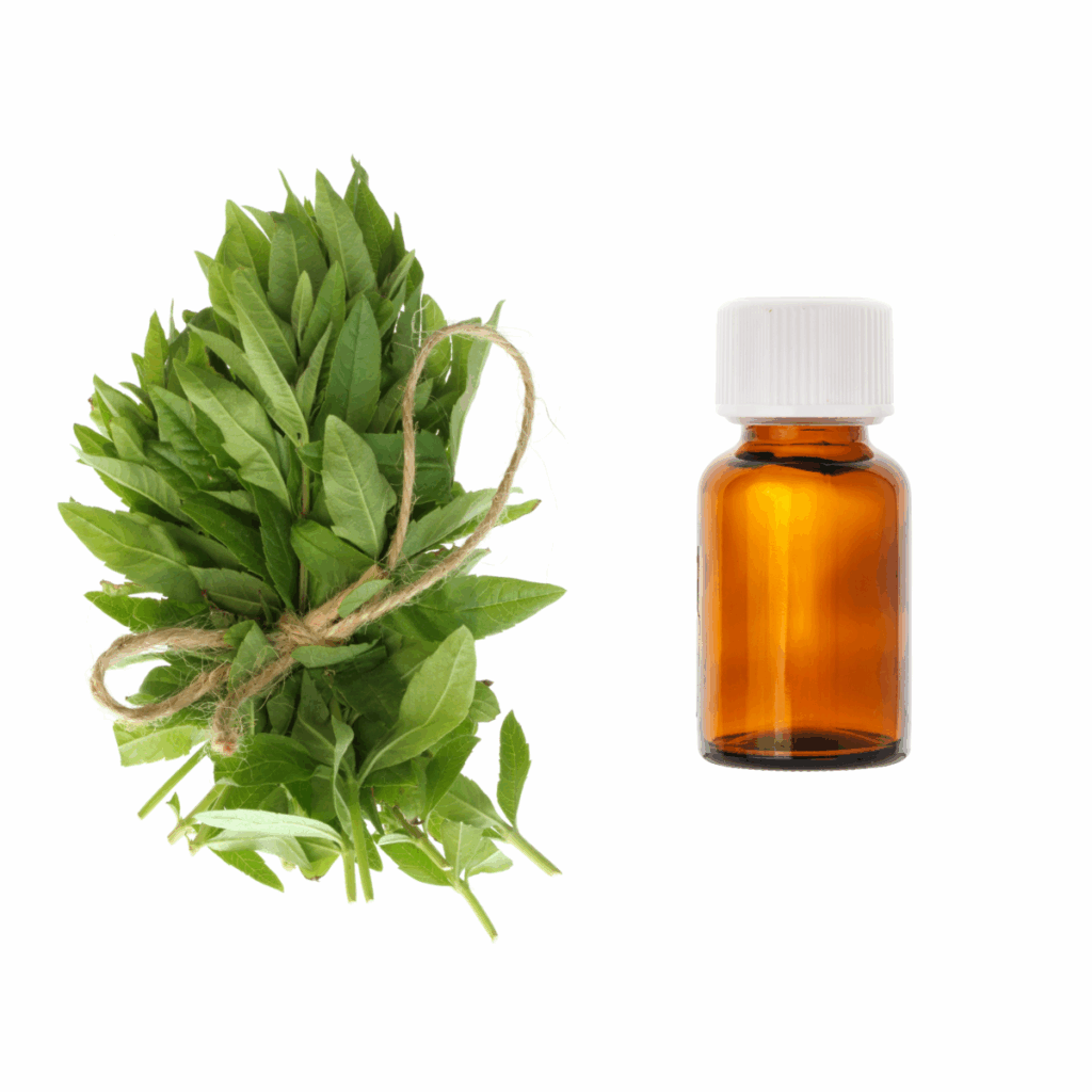 Olejek eteryczny <br> Werbena cytrynowa