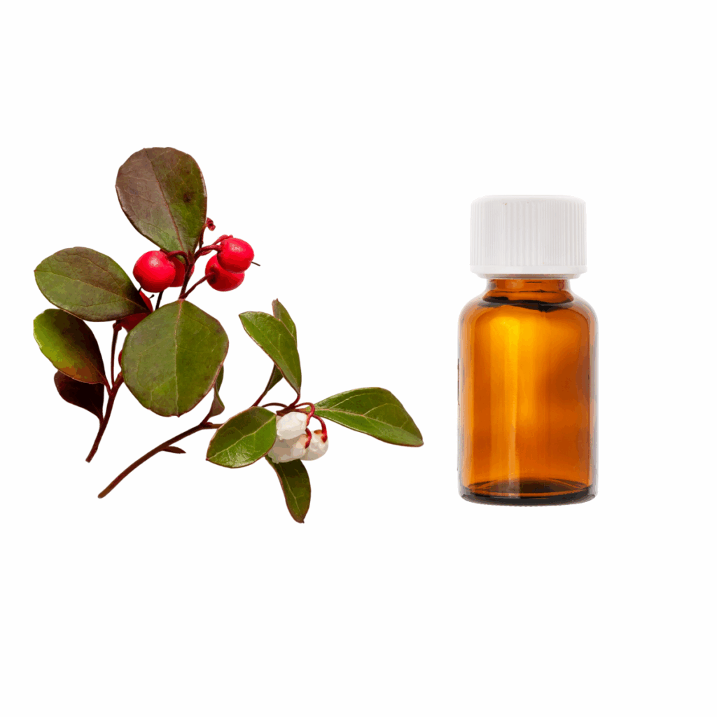 Olejek eteryczny <br> Golteria Wintergreen