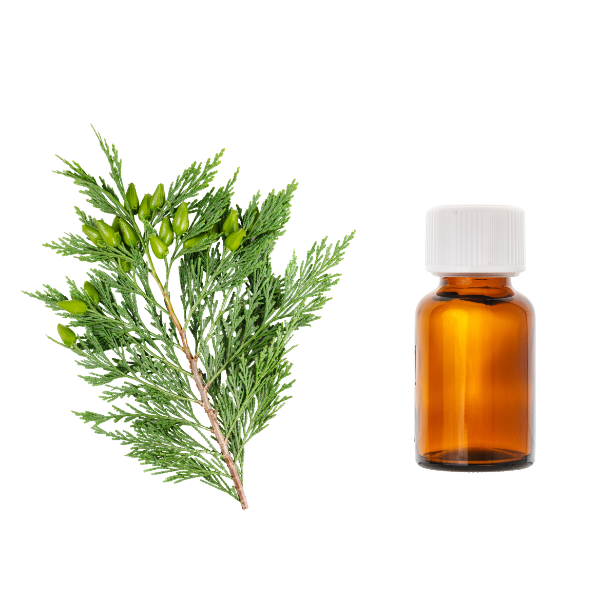 olejek cyprysowy Vesna Oils