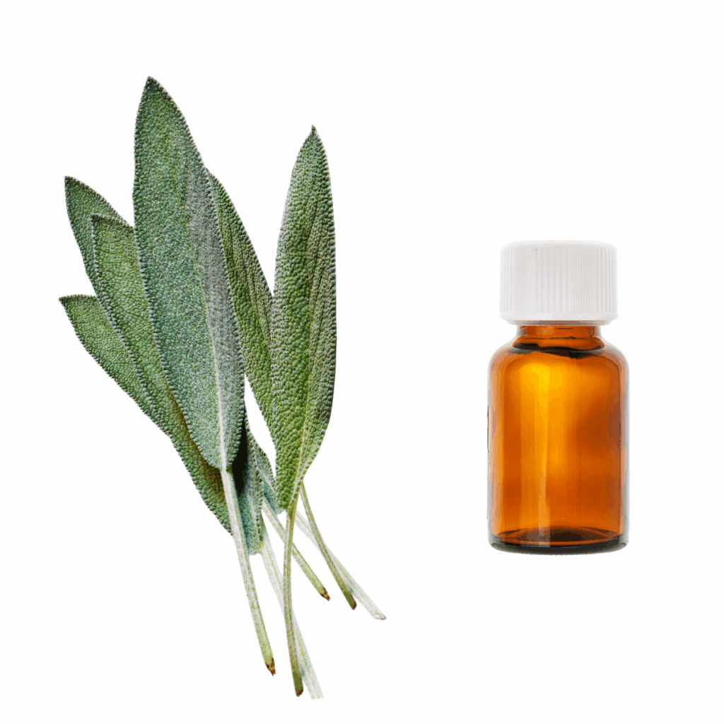 olejek eteryczny szałwia lekarska